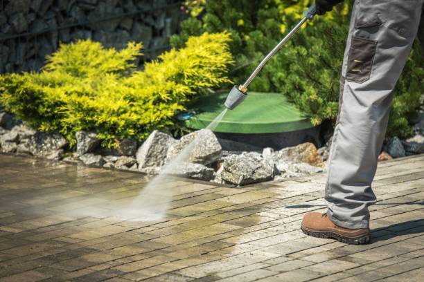  Palm Beach, FL Pressure Washing Pros